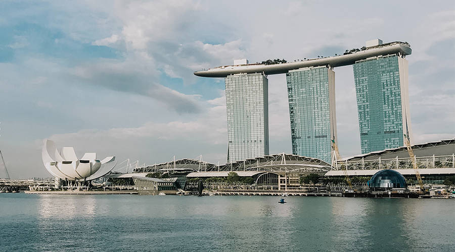 為什么要選擇德信會計師事務所為您的新加坡公司提供會計和審計服務？